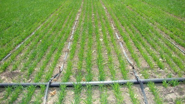PE农田灌溉管